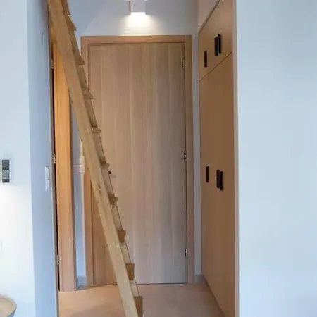 Aeraki -private Sea Access In Bay Villa Sivota (Lefkada)